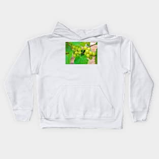 Grapes Kids Hoodie